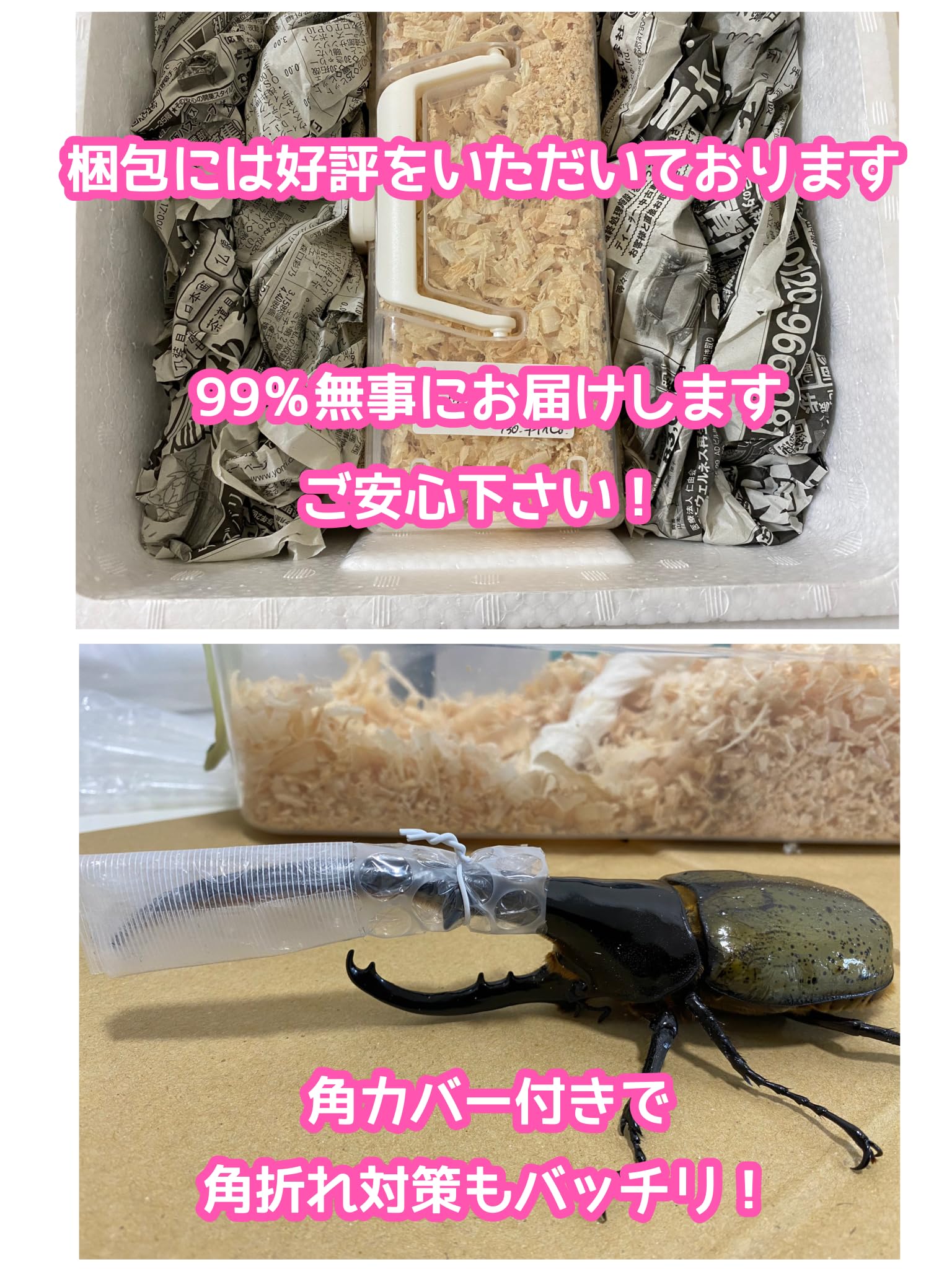 THE ART OF HERCULES （ジアートオブヘラクレス） THE ART OF HERCULES （ジアートオブヘラクレス）